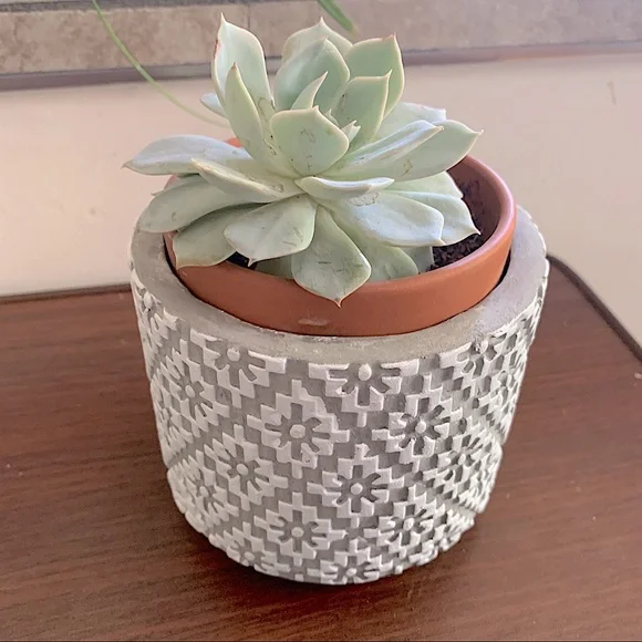 Accents | New Anthropologie Graywhite Ceramic Art Deco Plant Succulent Pot  | Poshmark